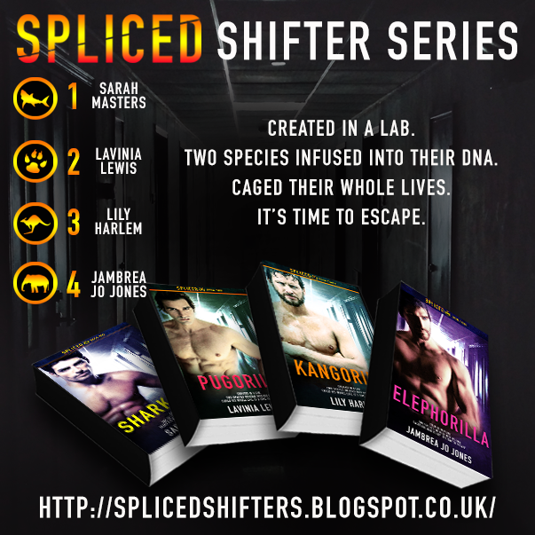 The Multi-Author Spliced Series