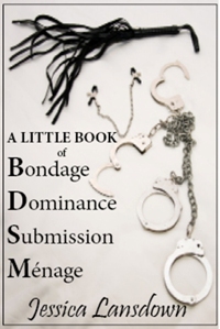 A Little Book of BDSM 200 A Little Book of BDSM 200
