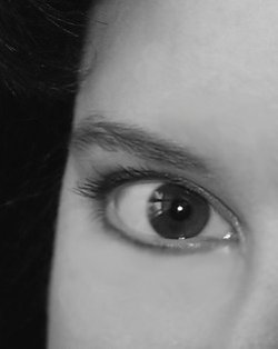 AuthorPhoto_NashvilleCrazy