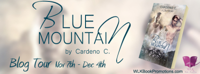 Blue Mountain Banner