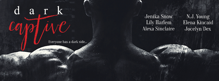 Dark Captive – Dark MF Erotic Romance Anthology