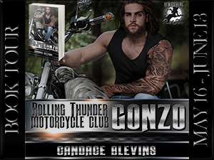 Gonzo Button 300 x 225