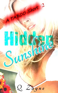 New Release: Hidden Sunshine by Q. Zayne