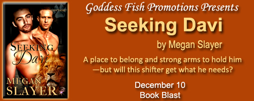 MBB_SeekingDavi_Banner copy