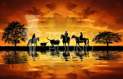 MF Cowboy_Western