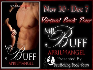 Mr Buff Button 300 x 225