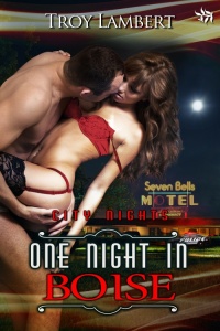 One Night in Boise