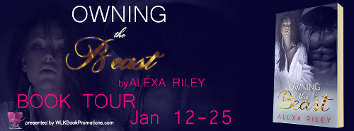 Owning the Beast - Tour Banner