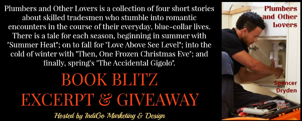 Plumbers and Other Lovers by Spencer Dryden (@spencerdryden @GoIndiMarketing)
