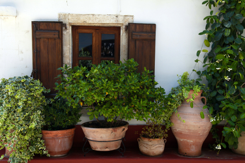 Window with wood shutters and many flower pots in old home (Crete, Greece)