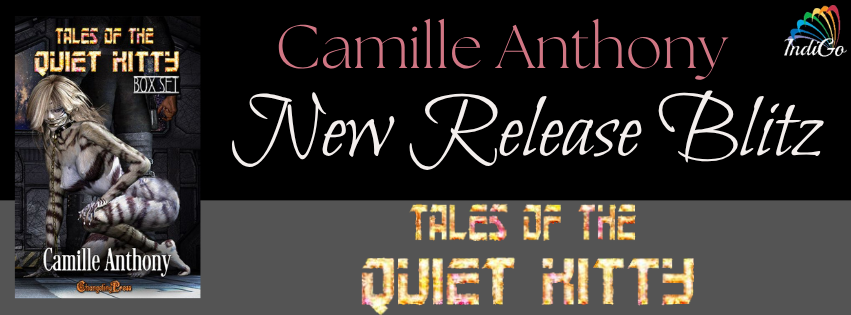 Tales of the Quiet Kitty Banner Tales of the Quiet Kitty Banner