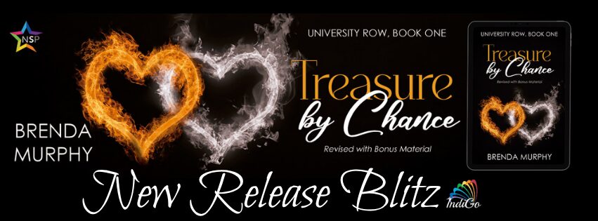 Treasure by Chance Blitz Banner Treasure by Chance Blitz Banner
