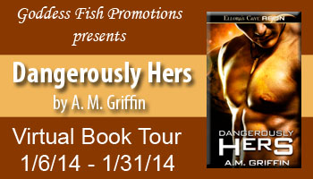 VBT_DangerouslyHers_Banner