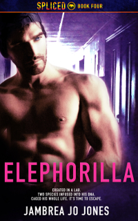 elephorilla_cover_2