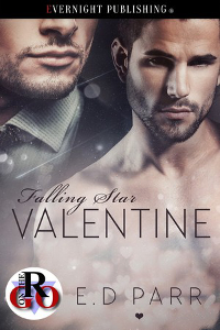 New Release: Falling Star Valentine by E.D. Parr